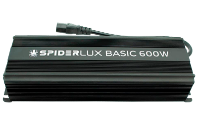 Balastro electrónico BASIC 600w