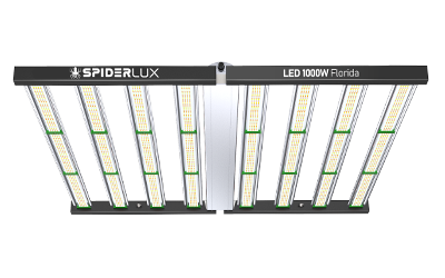 LED Florida 1000W